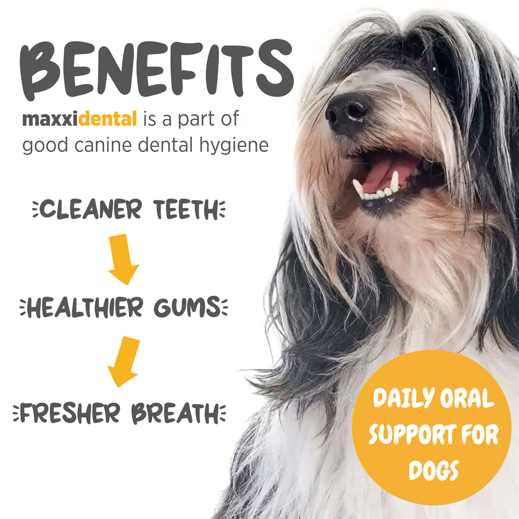 maxxidental for dogs benefits