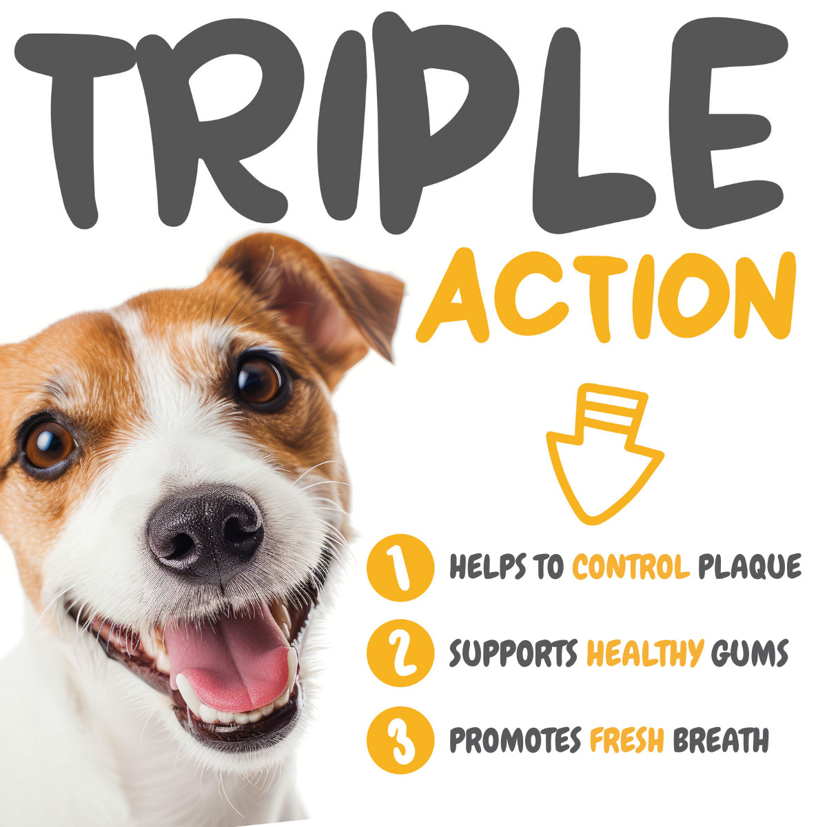 maxxidental for dogs triple dental support action