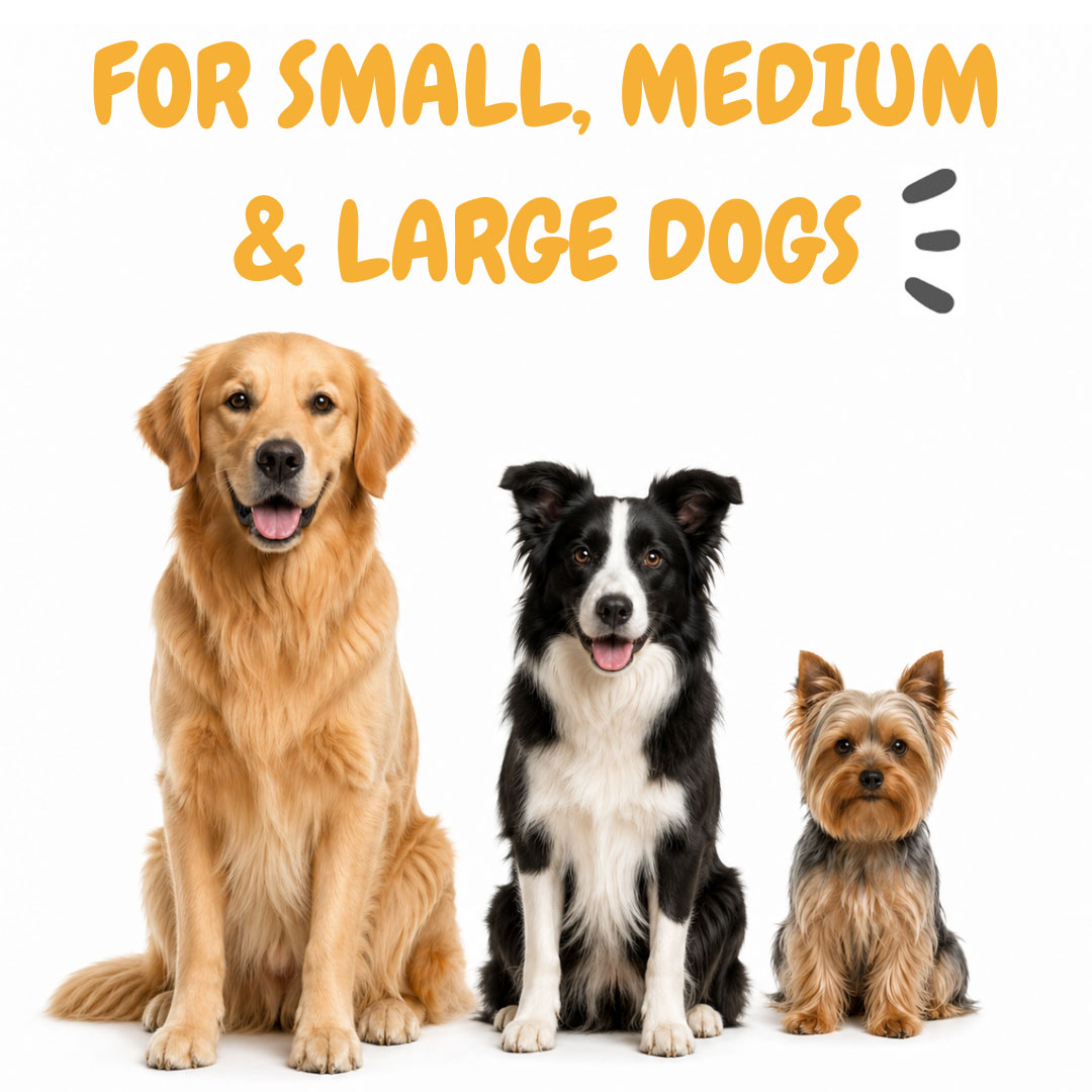 maxxidental for small medium large dogs