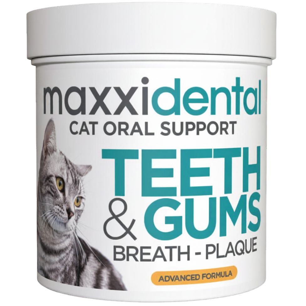 maxxidental oral support for cats - clean teeth fresh breath healthy gums