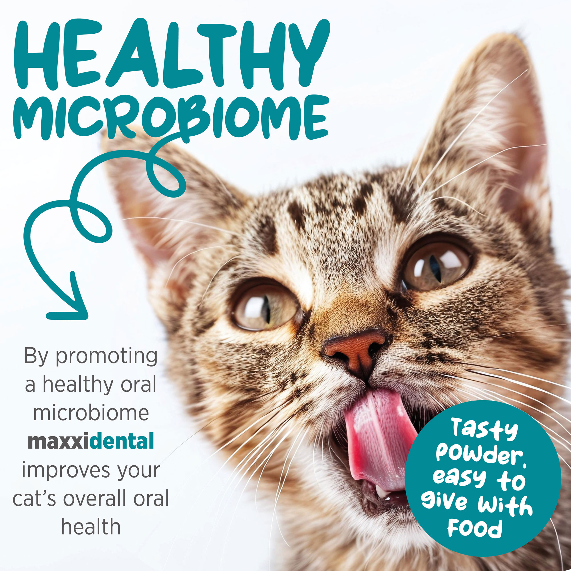 maxxidental for healthy microbiome