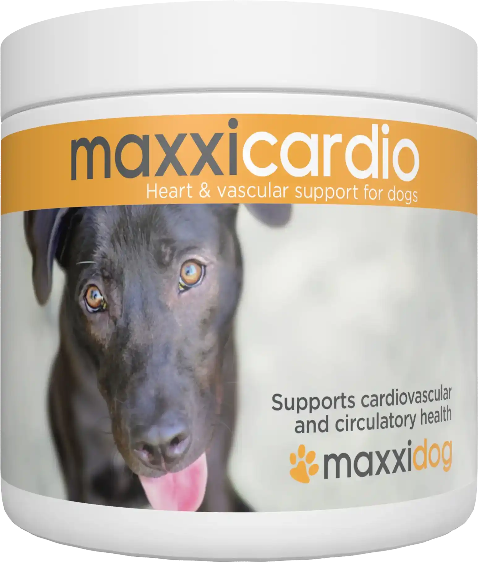 CARDIO90-Current View copy