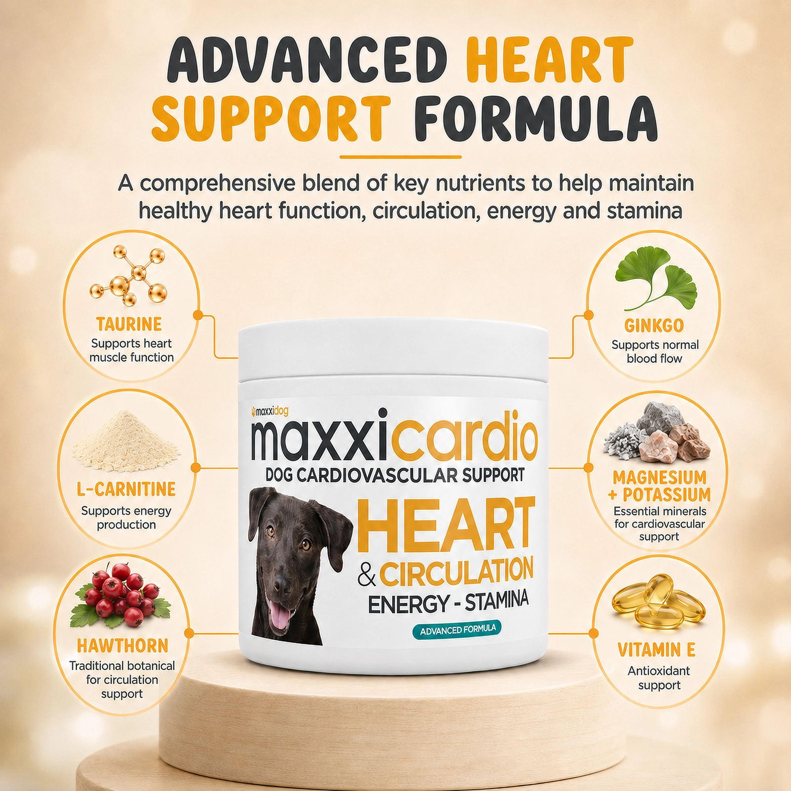 maxxicardio advanced natural heart canine supplement