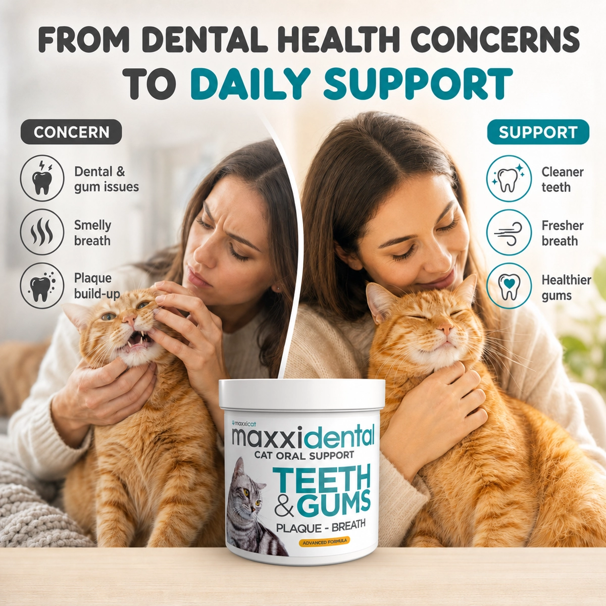 maxxidental for cat clean teeth fresh breat healthy mouth