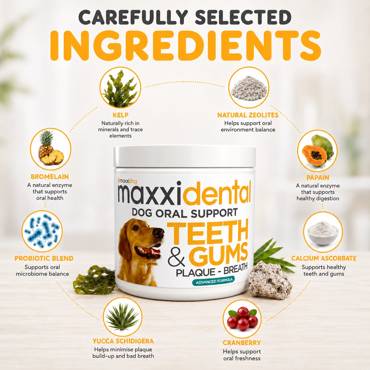 maxxidental natural oral care ingredients