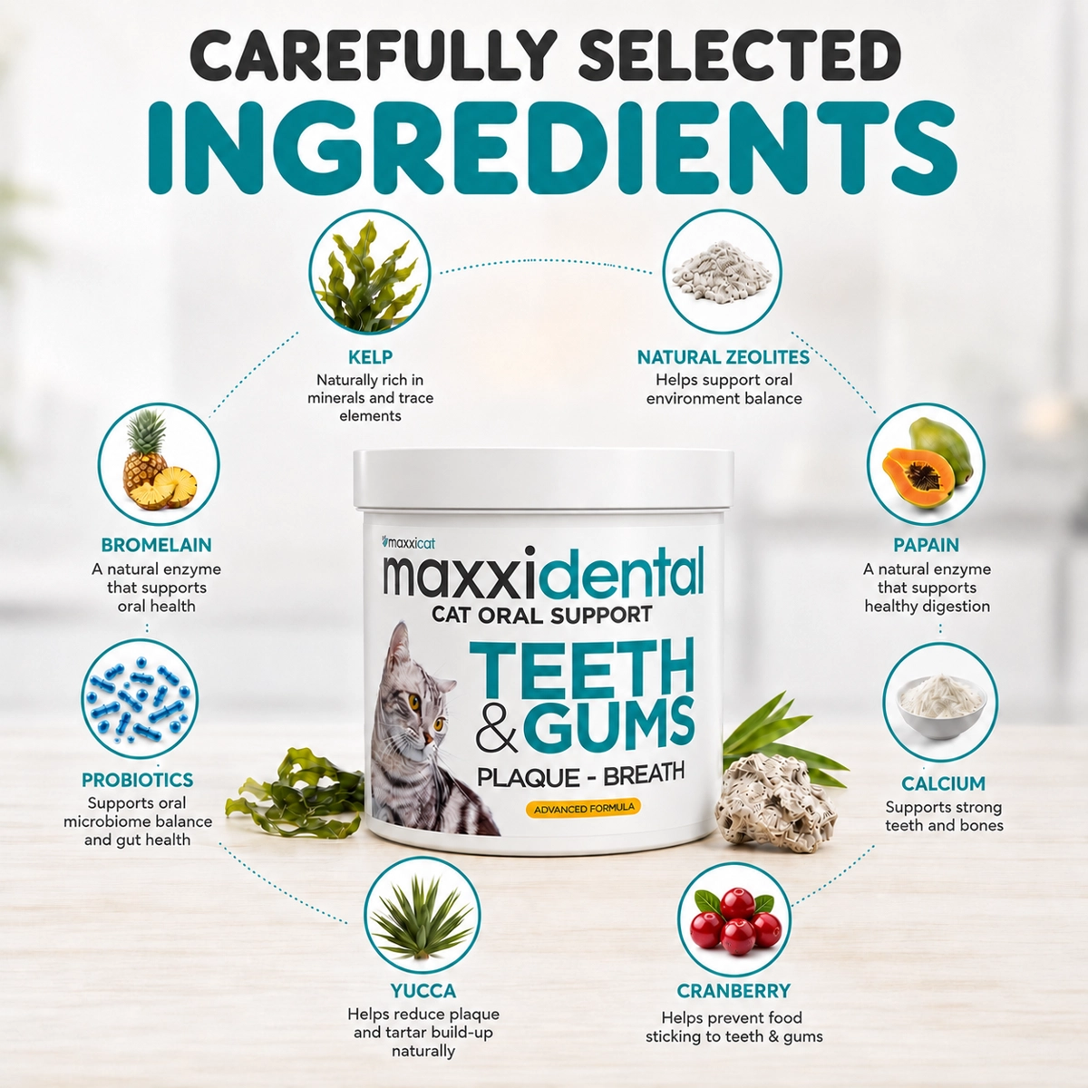 maxxidental natural oral support ingredients for cats